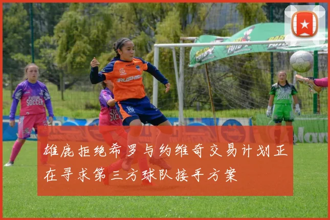 雄鹿拒绝希罗与约维奇交易计划正在寻求第三方球队接手方案